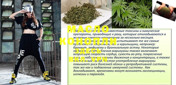 стаф Зерноград