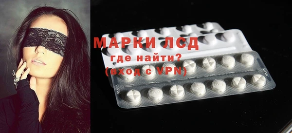 стаф Зерноград