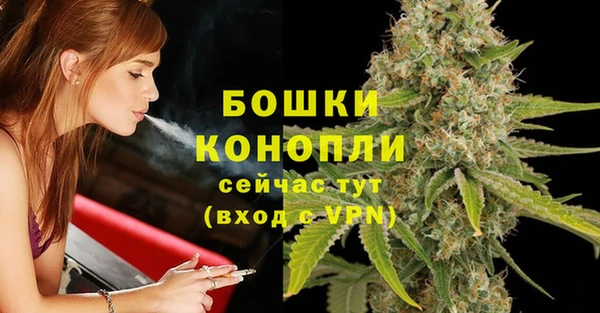 стаф Зерноград