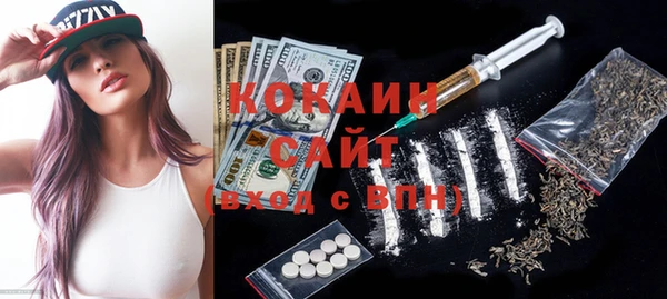 стаф Зерноград