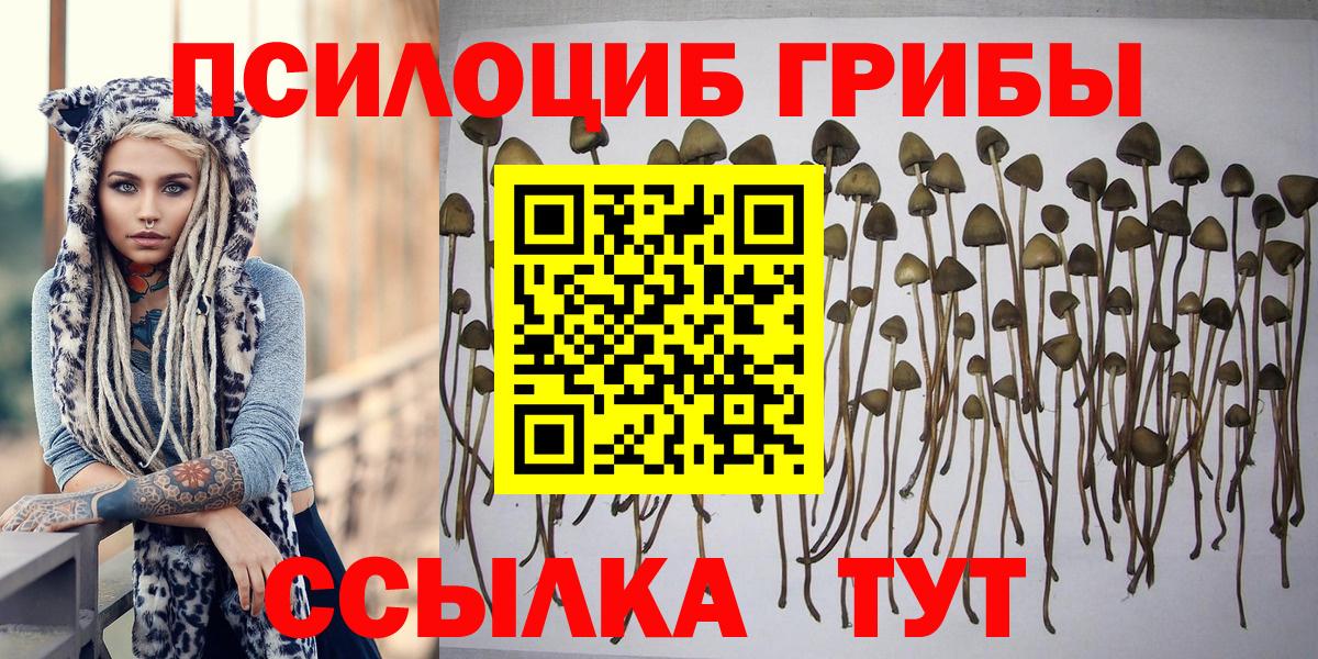 Галлюциногенные грибы Magic Shrooms  Вход с VPN  Карасук 