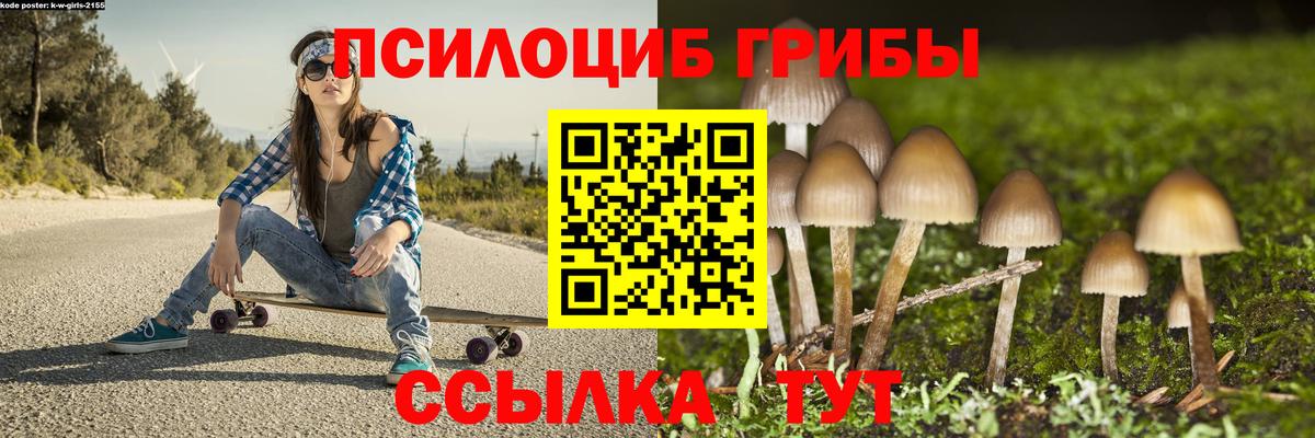 Псилоцибиновые грибы Cubensis Карасук