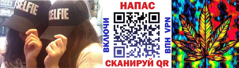 Конопля гибрид  что такое   Карасук 